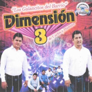 Dimensión 3