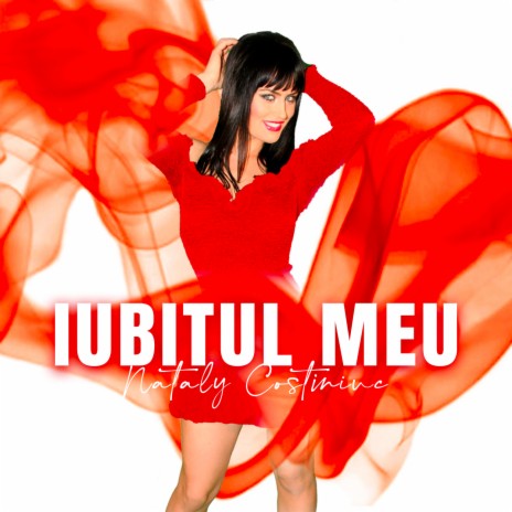 Iubitul meu | Boomplay Music