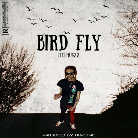 BIRD FLY | Boomplay Music
