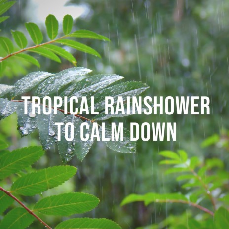 Tropical Rainshower to Calm Down, Pt. 4 | Boomplay Music