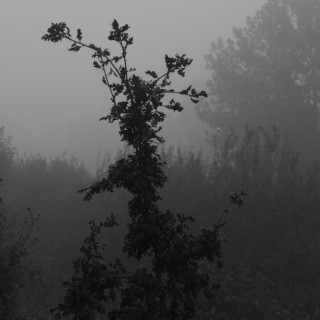 Valley Fog (from After Reality, 12 miniatures)