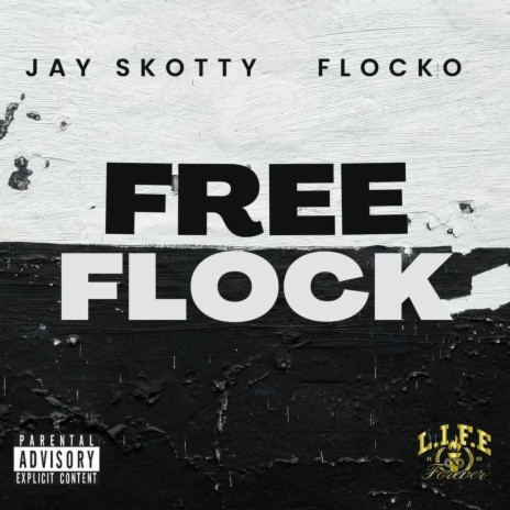 FREE FLOCK ft. Flocko | Boomplay Music
