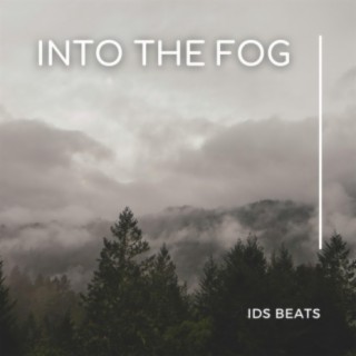 Into The Fog