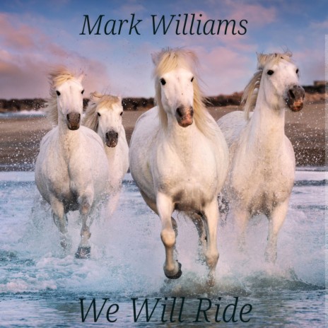 We Will Ride | Boomplay Music