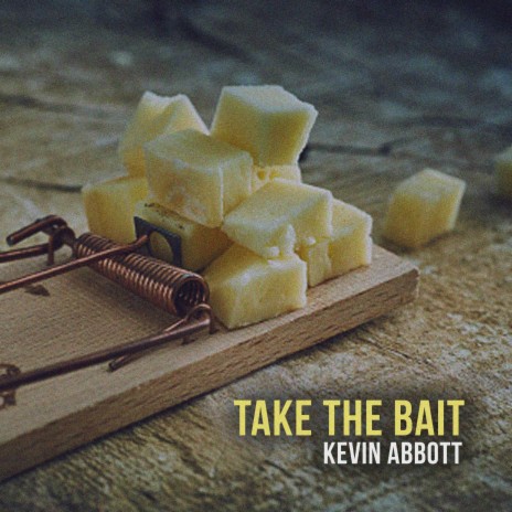 Take the Bait | Boomplay Music
