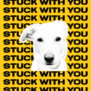 Stuck With You