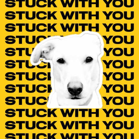 Stuck With You | Boomplay Music