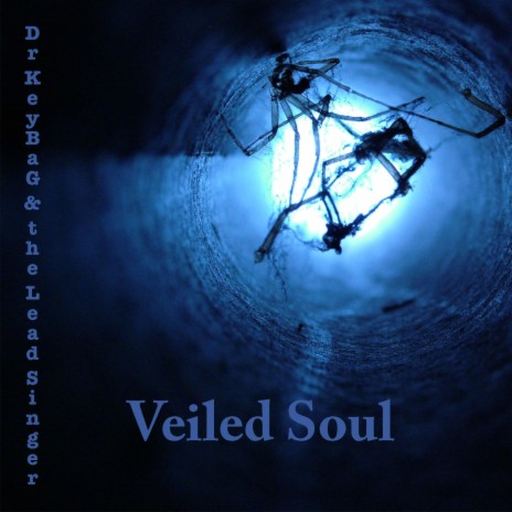 Veiled Soul (Remastered) | Boomplay Music