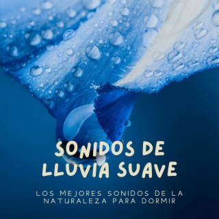 Sonidos de Lluvia Suave: Los Mejores Sonidos de la Naturaleza para Dormir