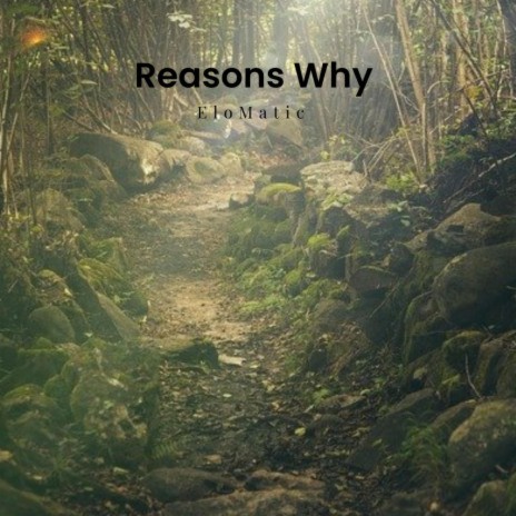 Reasons Why | Boomplay Music