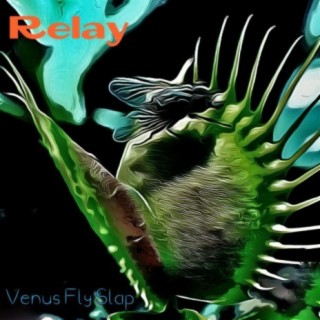 Venus Fly Slap