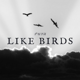 Like Birds