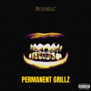 Permanent Grillz lyrics | Boomplay Music