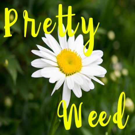 Pretty Weed | Boomplay Music