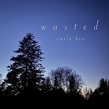 Wasted | Boomplay Music