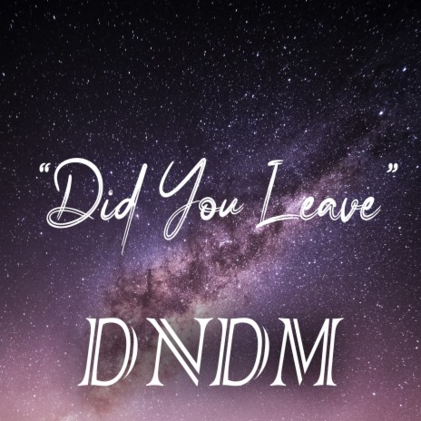 Did You Leave | Boomplay Music
