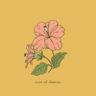 rose of sharon lyrics | Boomplay Music