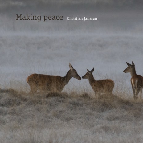 Making peace | Boomplay Music