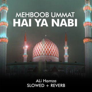 Mehboob Ummat Hai Ya Nabi Lofi