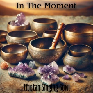 In The Moment: Tibetan Singing Bowl Music for Healing Meditation & Sound Therapy