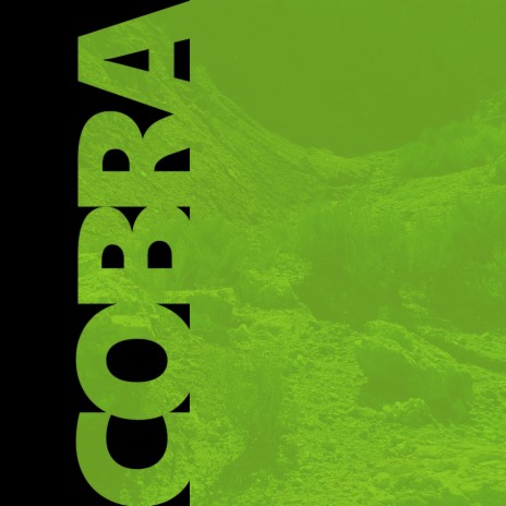 Cobra | Boomplay Music