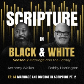 S2 Ep. 17 Marriage and Divorce in Scripture Pt. 2