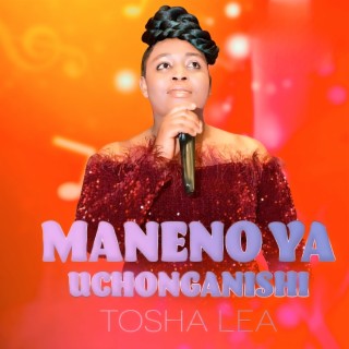 Maneno Ya Uchonganishi