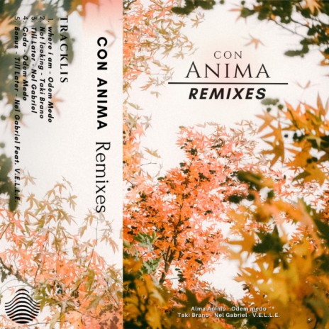 Where I am (Odem Medo Remix) ft. Alma Animo & Tsunami Sounds