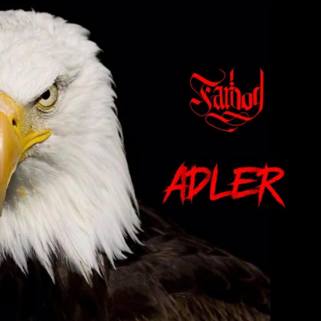 Adler