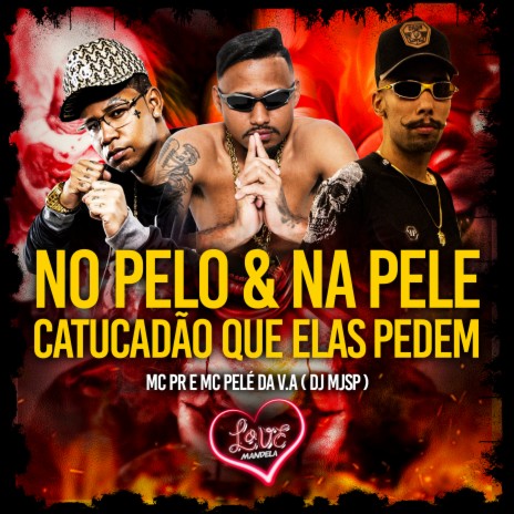 NO PELO & NA PELE , CATUCADÃO QUE ELAS PEDEM ft. MC PR & Mc Pelé Da V.A | Boomplay Music