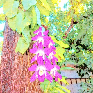 Flowers And Golden Coin