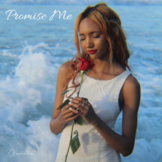 Promise Me lyrics | Boomplay Music