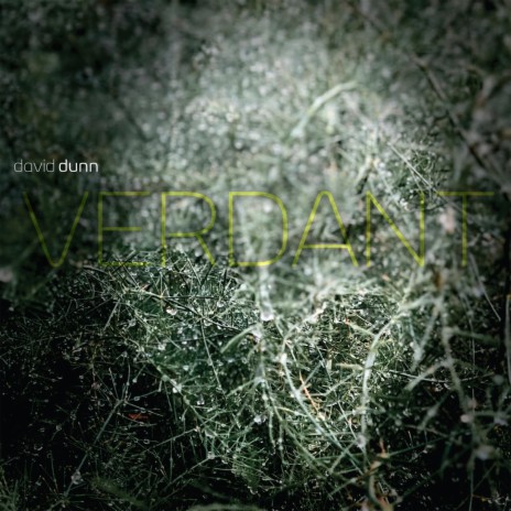 Verdant | Boomplay Music