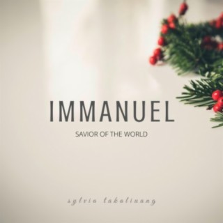 Immanuel Savior of the World lyrics | Boomplay Music