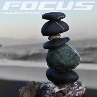 Focus