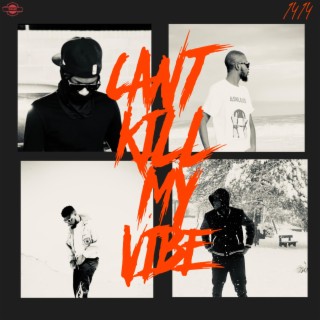 Can't Kill My Vibe ft. Alhaji DDDD, YoungCee & Baggy Rashid lyrics | Boomplay Music