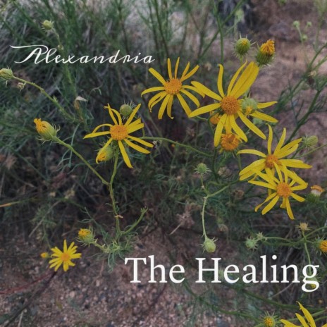 The Healing | Boomplay Music