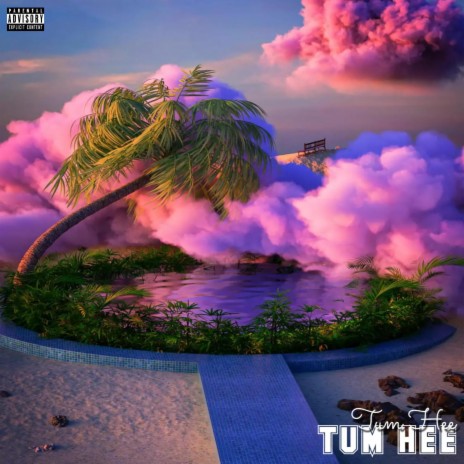 Tum Hee ft. Aleey Khan & Enim | Boomplay Music
