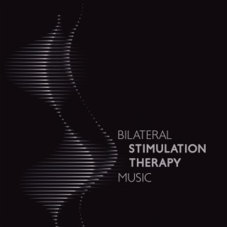 Bilateral Stimulation - EMDR Therapy Music for Stress, Anxiety and Nerves