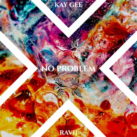 No Problem | Boomplay Music