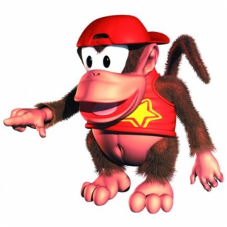 DIDDY KONG 2 COASTER