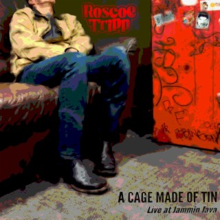 A Cage Made of Tin (Live) lyrics | Boomplay Music