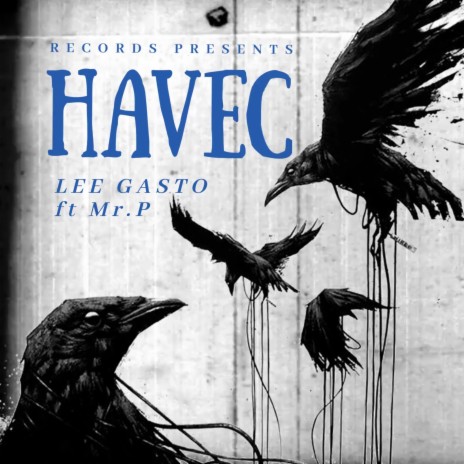 HAVEC ft. Mr. P