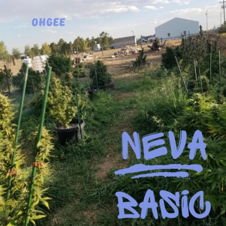 NEVA BASIC | Boomplay Music