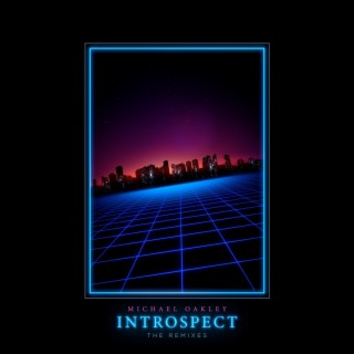 Introspect (The Remixes)