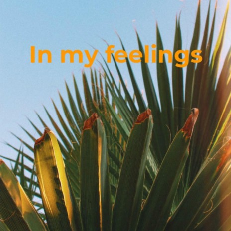 In my feelings | Boomplay Music