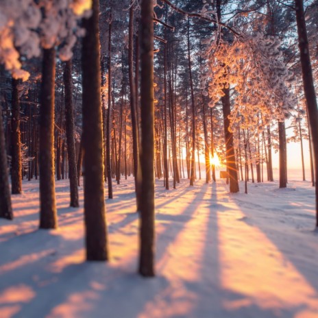 Early Snow Walk