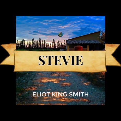 Stevie | Boomplay Music