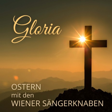 Bleib bei uns, denn es will Abend werden, BWV 6: III. Chorale. Ach bleib bei uns, Herr Jesu Christ (Boy Soprano) ft. Soloist of the Wiener Sängerknaben & Concentus musicus Wien | Boomplay Music