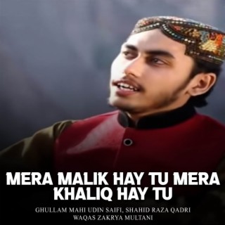 Mera Malik Hay Tu Mera Khaliq Hay Tu